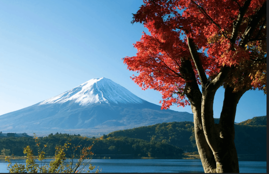 富士山と日本の紅葉